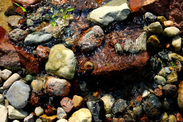 Taşların üzerinden akan bir dağ deresi