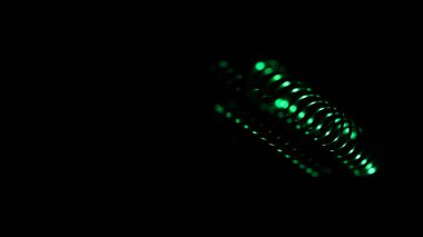 Makro fotoğrafçılıkta kalem ilkbaharı