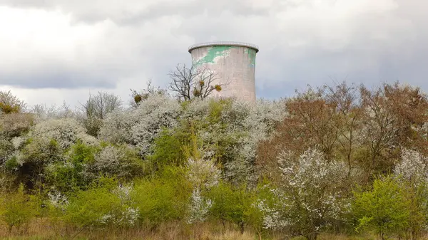 Antigua Chimenea Para Liberar Vapor Una Planta Combinada Calor Energía —  Fotos de Stock