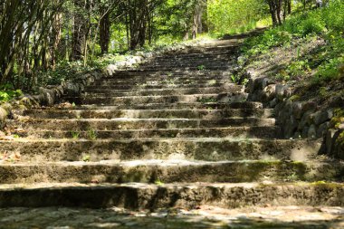 Botanik parkında eski bir taş merdiven.