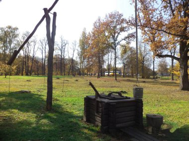 Eski güzel Jin Boldino