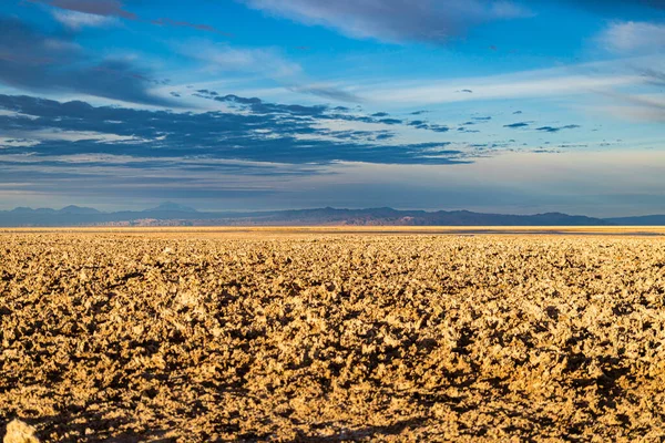 Atakama Çölü 'nde açık arazi, şafakta..