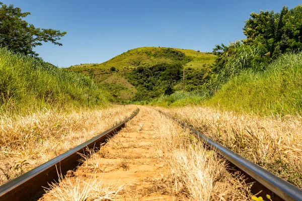 Sarı otların ortasındaki tren hattı.