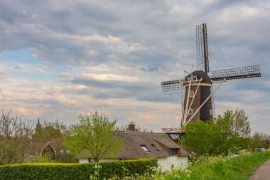 Traditional dutch windmill in the Haaften village, Province of Gelderland clipart