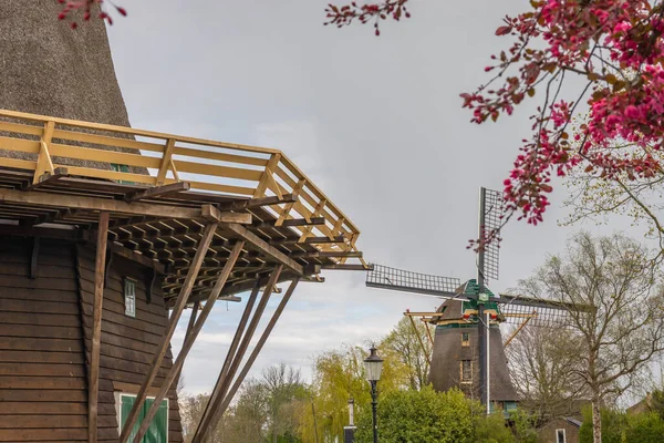 Twee Historische Nederlandse Molens Stad Weesp Noord Holland — Stockfoto