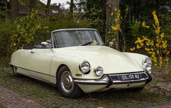 Buren Province Gelderland Netherlands 2021 Classical Citroen Cabriolet 1963 — Stock Photo, Image