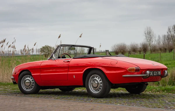 Buren Province Gelderland Netherlands 2021 Classical Alfa Romeo 1750 Spider — Stock Photo, Image