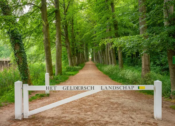 Malebná Stezka Holandském Lese Dřevěnou Branou Nápisem Krajina Gelderland Přeloženo — Stock fotografie