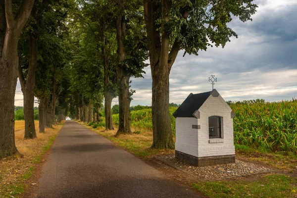 Typische Landschaft Der Holländischen Provinz Limburg Mit Einem Kleinen Schrein — Stockfoto