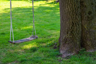 Büyük bir ağaçtan sarkan eski boş ahşap salıncak