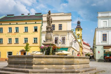 Cieszyn, Silezya Voyvoda, Polonya, 23.07.2021, Çeşmeli ve tarihi binalı Cieszyn pazar meydanı