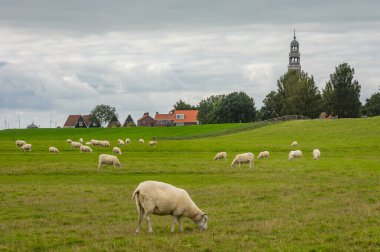 Hollanda 'nın manzarası. Friesland Eyaleti Hindeloopen.