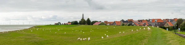 Panorama Över Historiska Holländska Staden Hindeloopen Provinsen Friesland — Stockfoto