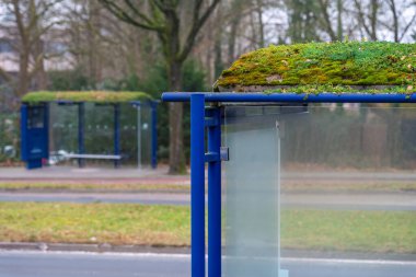 Otobüs durağı, yeşil çatılı, çevre dostu yeşil altyapısı olan bir şehir.