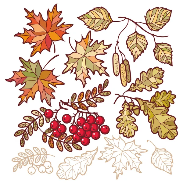 Podzimní listí. Vektorové kreslení na bílém pozadí. Ikony. — Stockový vektor
