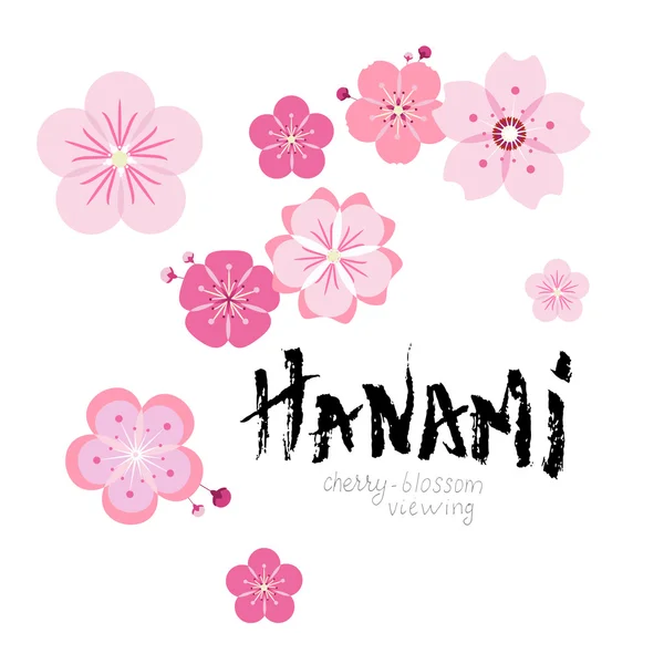 Hanami on white — Stock Vector