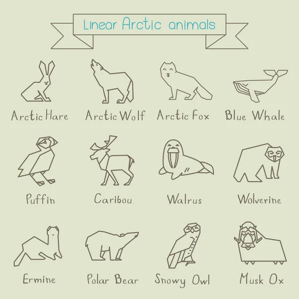 Коллекция арктических животных — стоковый вектор