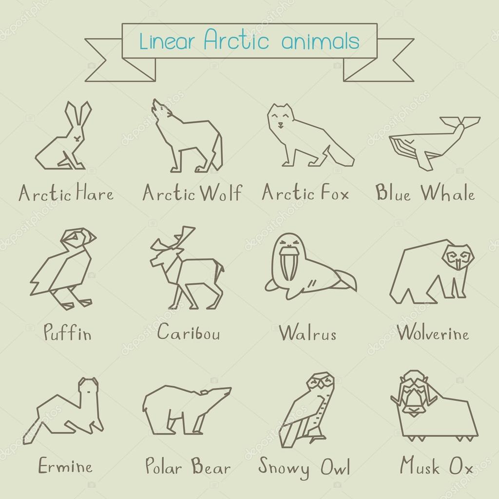 Set of linear icons of arctic animals with names inscriptions.