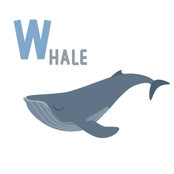 Mavi balina ve mektup