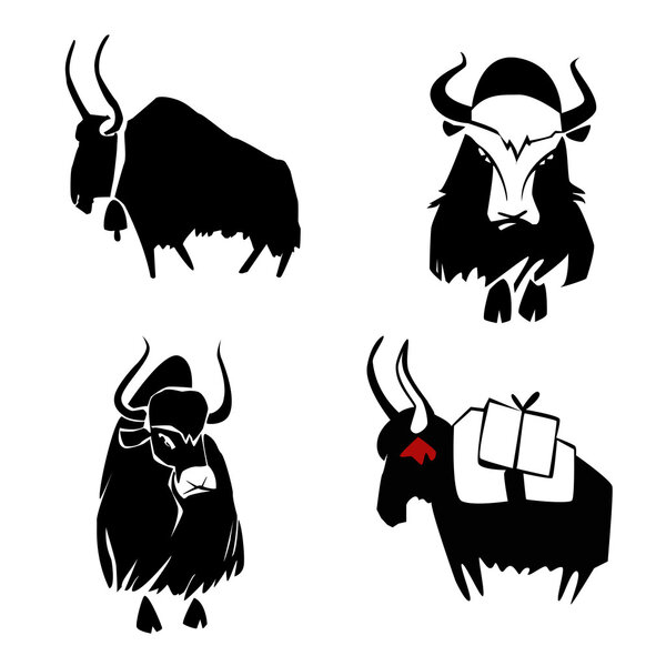Four black yaks