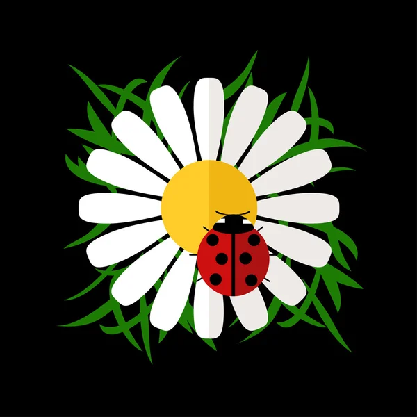 camomile and lady bird