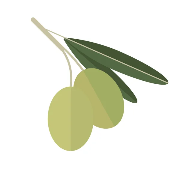 Oliven — Stockvektor