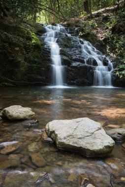 Doğu Tennessee 'nin Appalachian dağlarında güzel bir dağ şelalesini çevreleyen yemyeşil orman örtüsü. 6 metre düşüş. Uzun pozlama. Dikey görünüm.