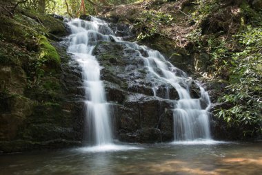 Doğu Tennessee 'nin Appalachian dağlarında güzel bir dağ şelalesini çevreleyen yemyeşil orman örtüsü. 6 metre düşüş. Uzun pozlama. Yatay görünüm.