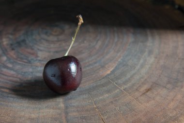 Ağaç diliminde tek bir kiraz.