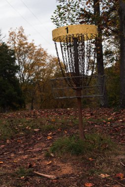 Sonbaharda bir orman kursunda disk golf sepeti..