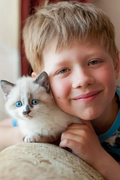 Мальчик с котенком в комнате — стоковое фото
