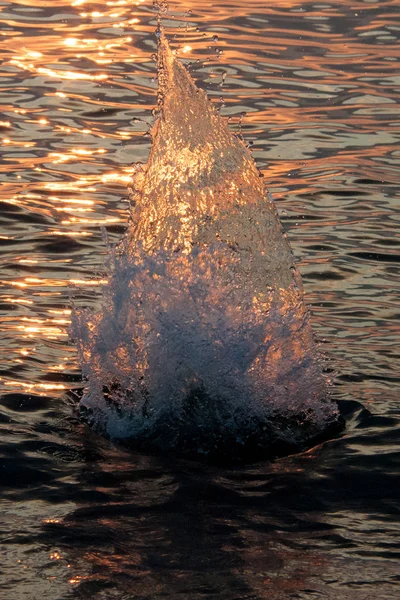 Water spatten in de zee — Stockfoto