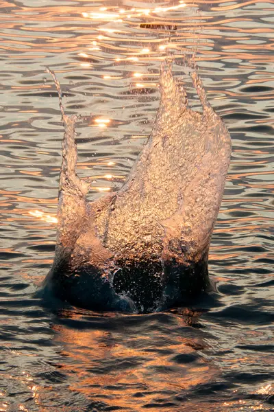 Des éclaboussures d'eau dans la mer — Photo