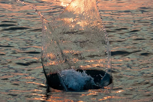 Water spatten in de zee — Stockfoto