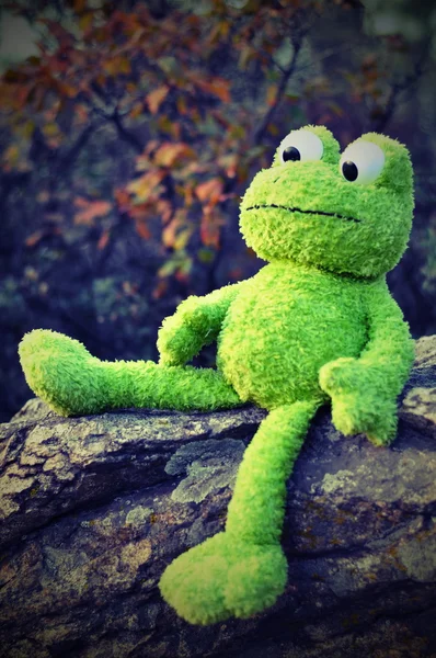 green toy frog on the nature sits on a rock