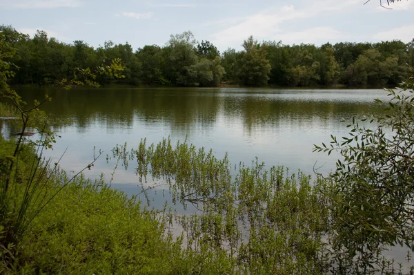 Vista do lago e em torno da vegetação — Fotografia de Stock