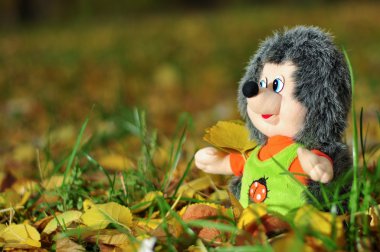 çimenlere oturmuş oyuncak kirpi