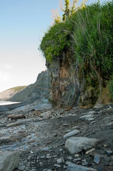 Kleiner schöner Wasserfall im Sommer — Stockfoto