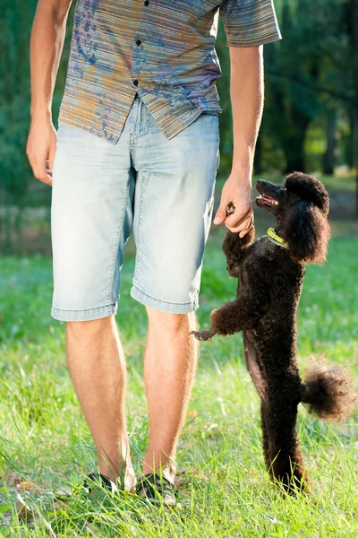 Hombre con caniche negro — Foto de Stock