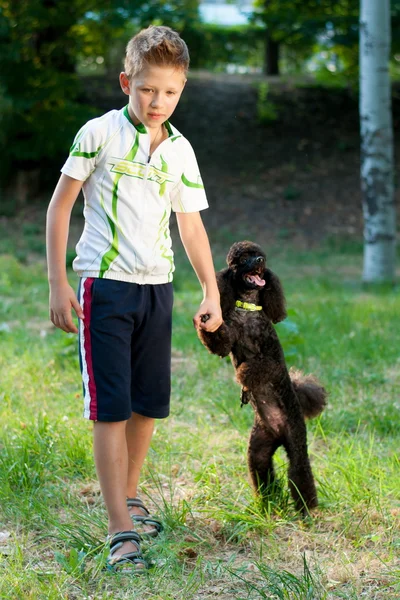 Boy with a black poodle on nature — Stock Photo, Image