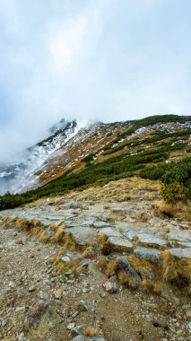 Tatras Polonya 'da sisin içinde çok renkli bir dağ yamacı.
