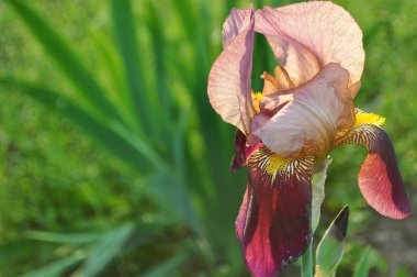 dağ, deniz, gökyüzü