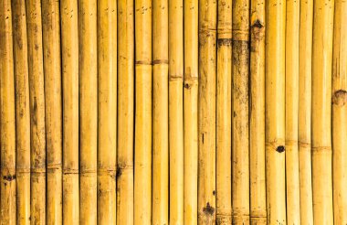 Bambu çit arka plan