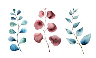 Beyaz zemin üzerinde küçük yapraklı suluboya resim bulunan bordo ve mavi dallar. Düğün davetiyesi, duvar süsü ya da tebrik kartı için uygun. El çizimi çizimi. Yaprak dalı.