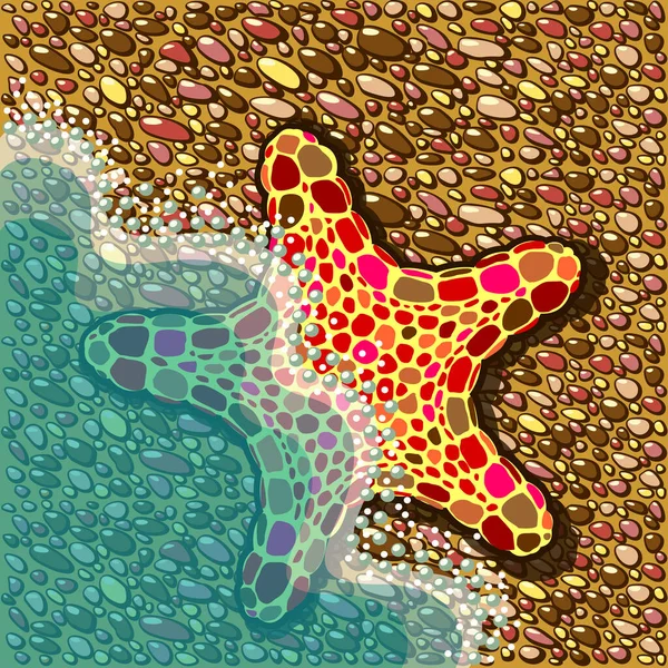 Parlak ve sevimli küçük deniz yıldızı kısmen denizde kısmen de kıyıda geziniyor..