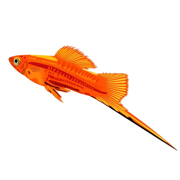 Vektorisolierte Illustration Eines Leuchtend Roten Schwertfisches Mit Langem Schwanz — Stockvektor