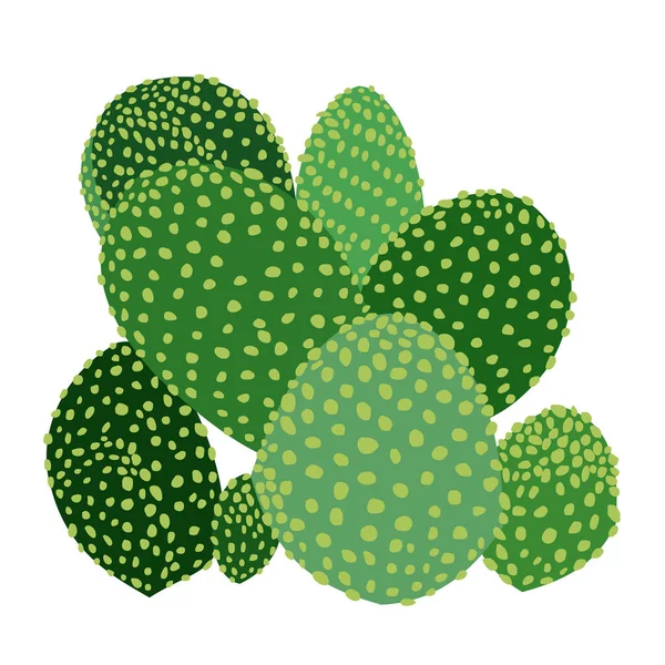 Illustration Vectorielle Isolée Opuntia Cactus — Image vectorielle