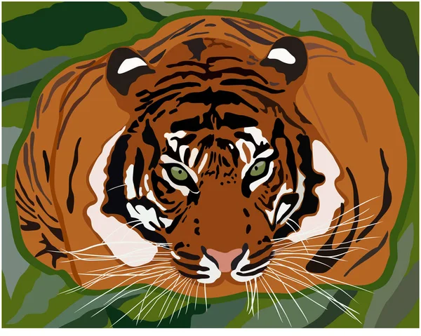Vektor Illustration Des Tigers Auf Grünem Hintergrund lizenzfreie Stockillustrationen