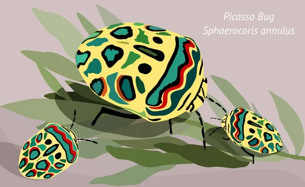Vektorillustration Von Picasso Bugs Auf Dem Zweig Staubiger Rosa Hintergrund — Stockvektor