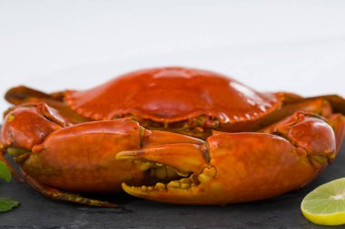 Pişmiş çamur yengeci, kırmızı renkte bir arduaz üzerine dizilmiş ve limon dilimleri ve beyaz desenli arka planda taze nane yaprağı ile süslenmiş, izole edilmiş..